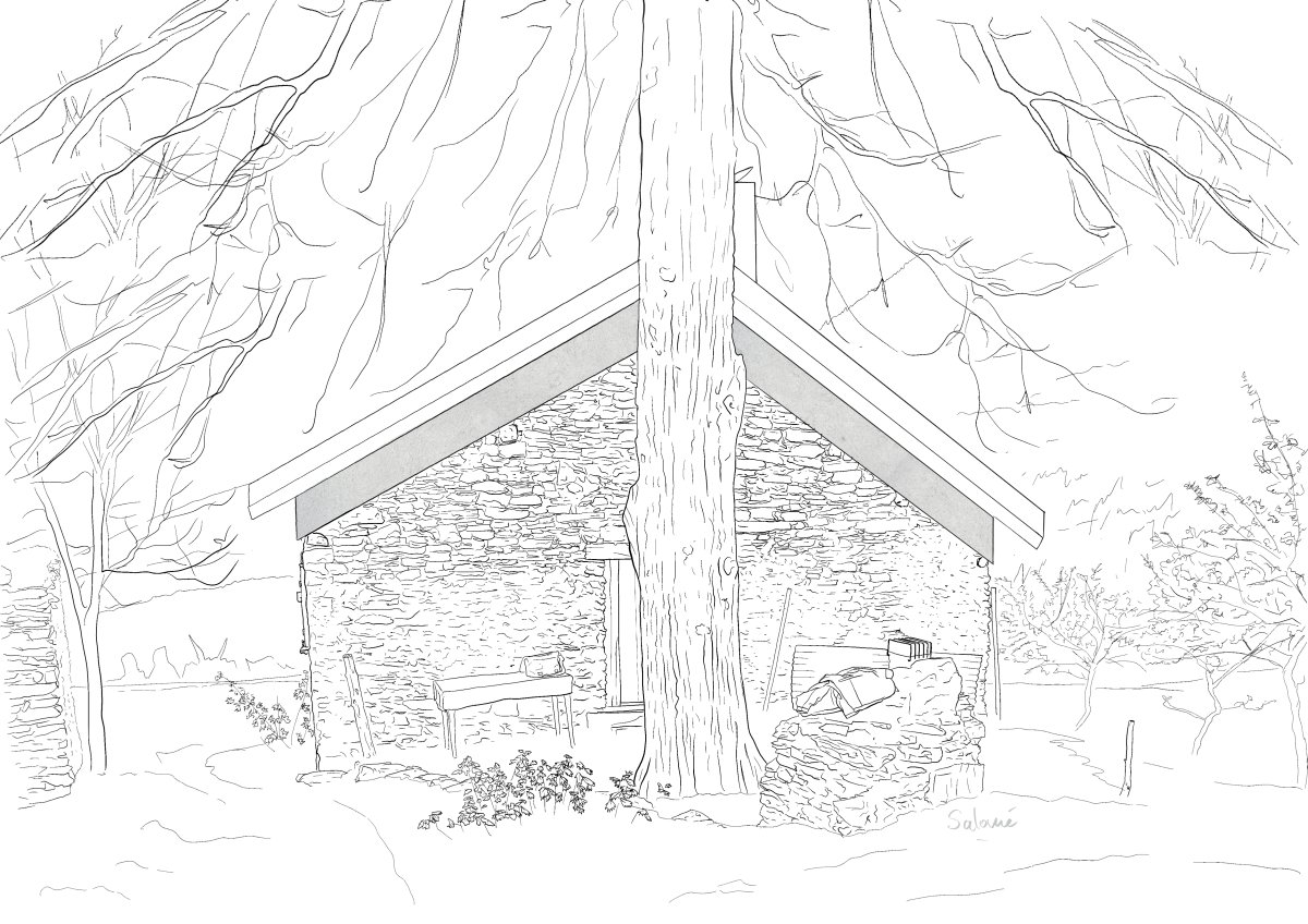 dessin architectural, façade en pierre surmontée d'une ligne de béton